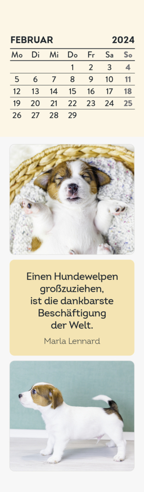 Bild: 4036442010419 | Lesezeichenkalender 2024: Hundefreunde | Groh Verlag | Kalender | 2024