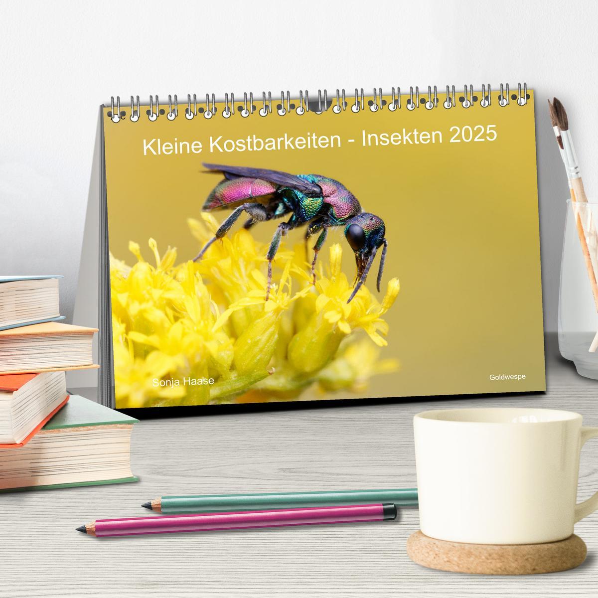 Bild: 9783383987816 | Kleine Kostbarkeiten Insekten (Tischkalender 2025 DIN A5 quer),...