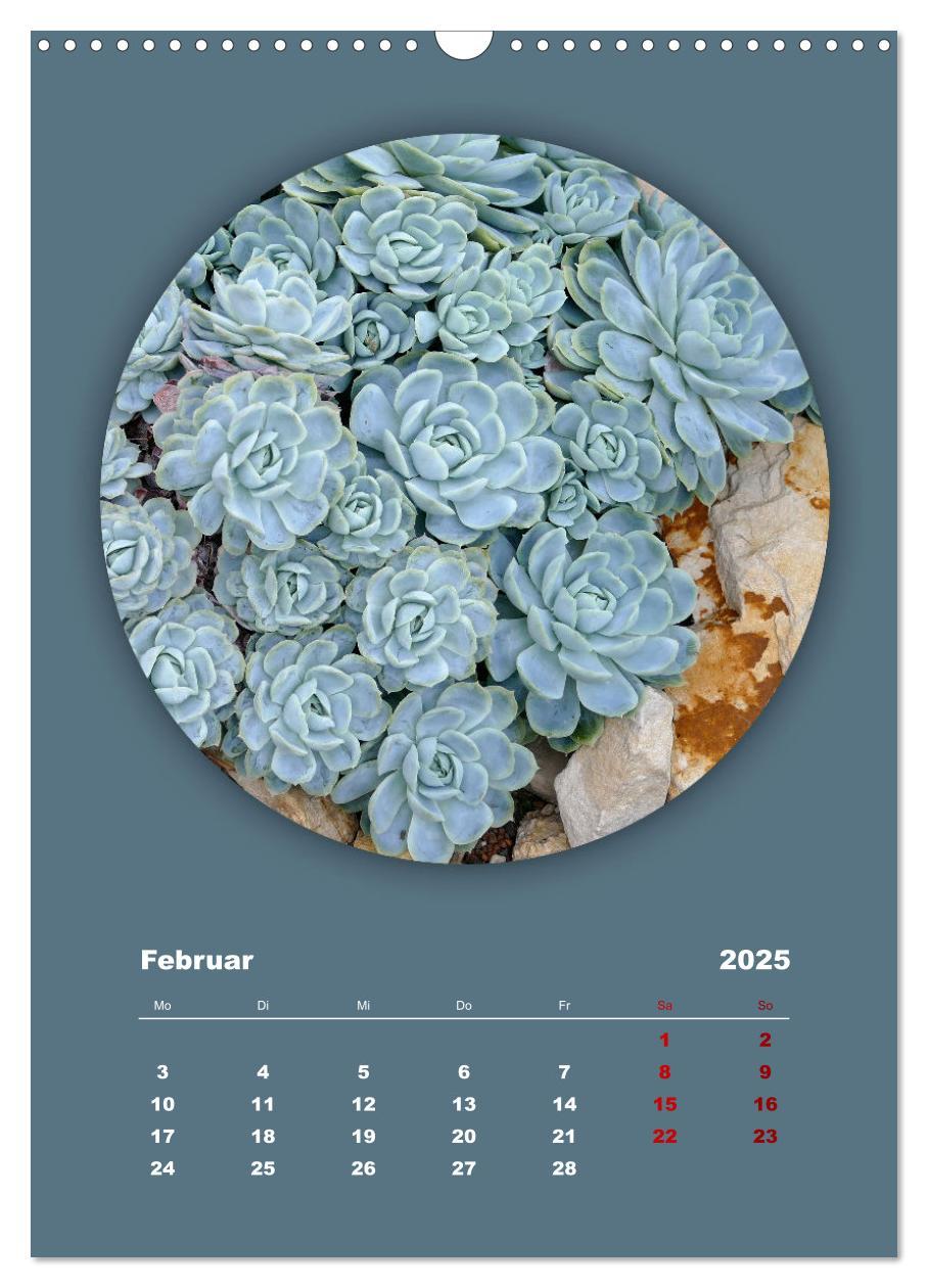 Bild: 9783435897186 | Rundherum Natur (Wandkalender 2025 DIN A3 hoch), CALVENDO...