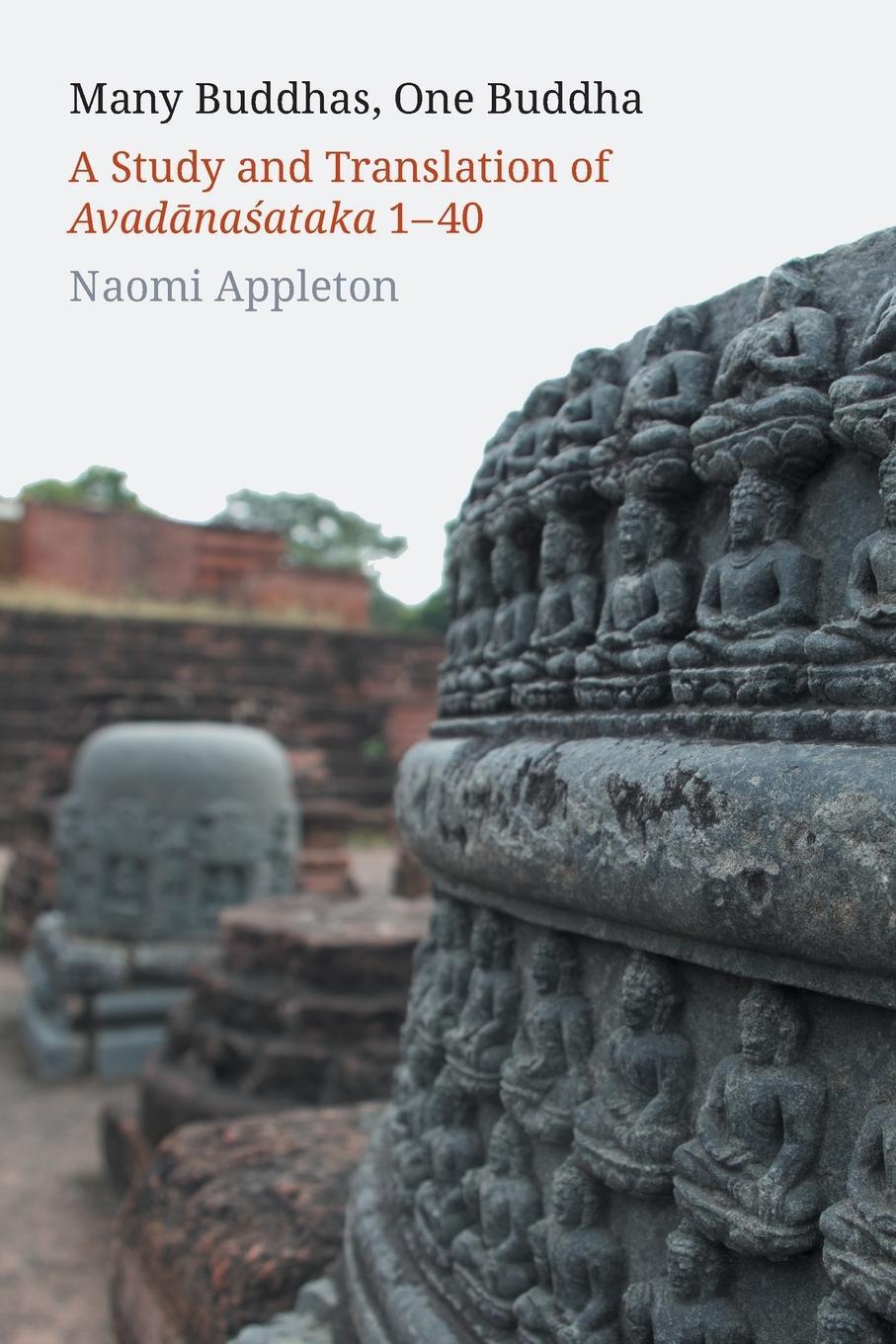 Cover: 9781781798973 | Many Buddhas, One Buddha | Naomi Appleton | Taschenbuch | Paperback