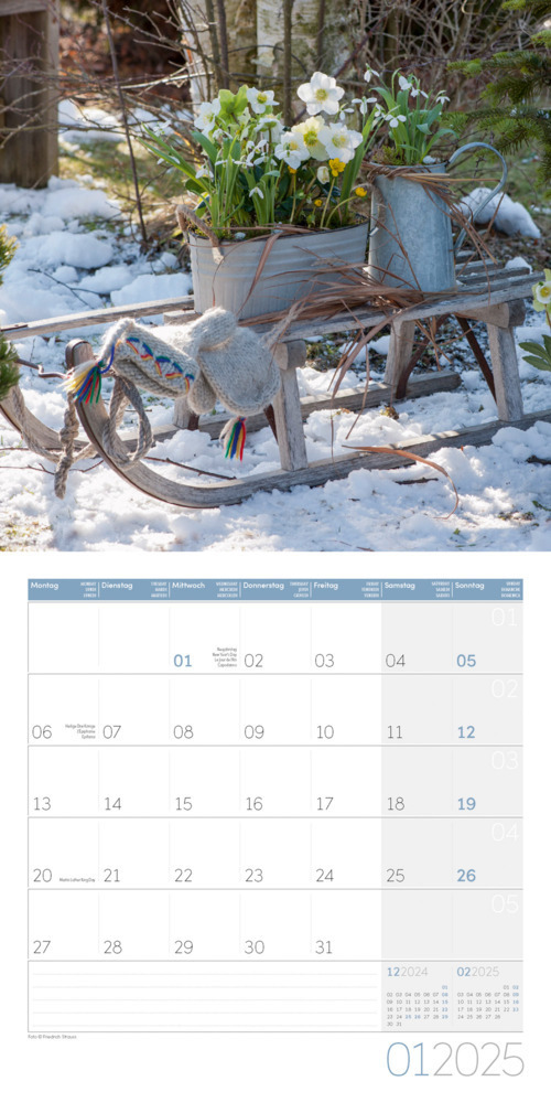 Bild: 9783838445168 | Landleben Kalender 2025 - 30x30 | Ackermann Kunstverlag | Kalender