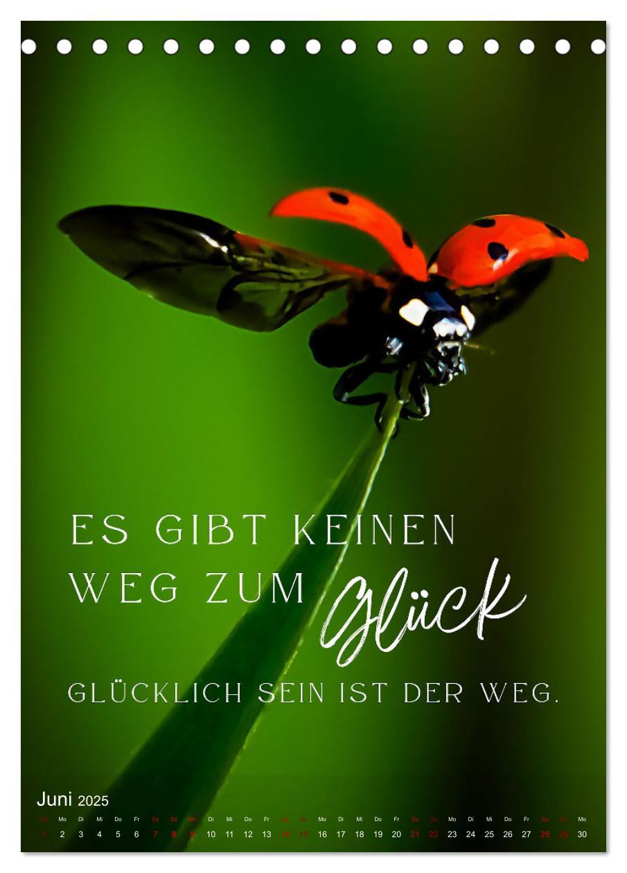 Bild: 9783457142905 | ICH WÜNSCHE DIR GLÜCK - 12 Monate mit inspirierenden Glückszitaten...