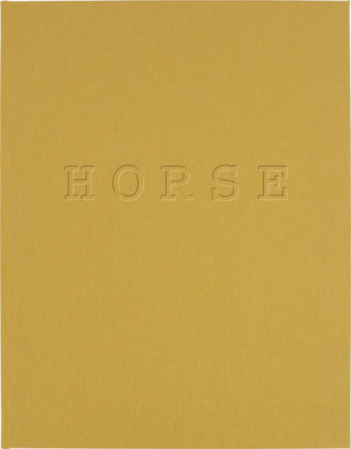 Cover: 9783863358778 | Jitka Hanzlová. Horse | Jitka Hanzlová | Buch | 92 S. | Deutsch | 2016