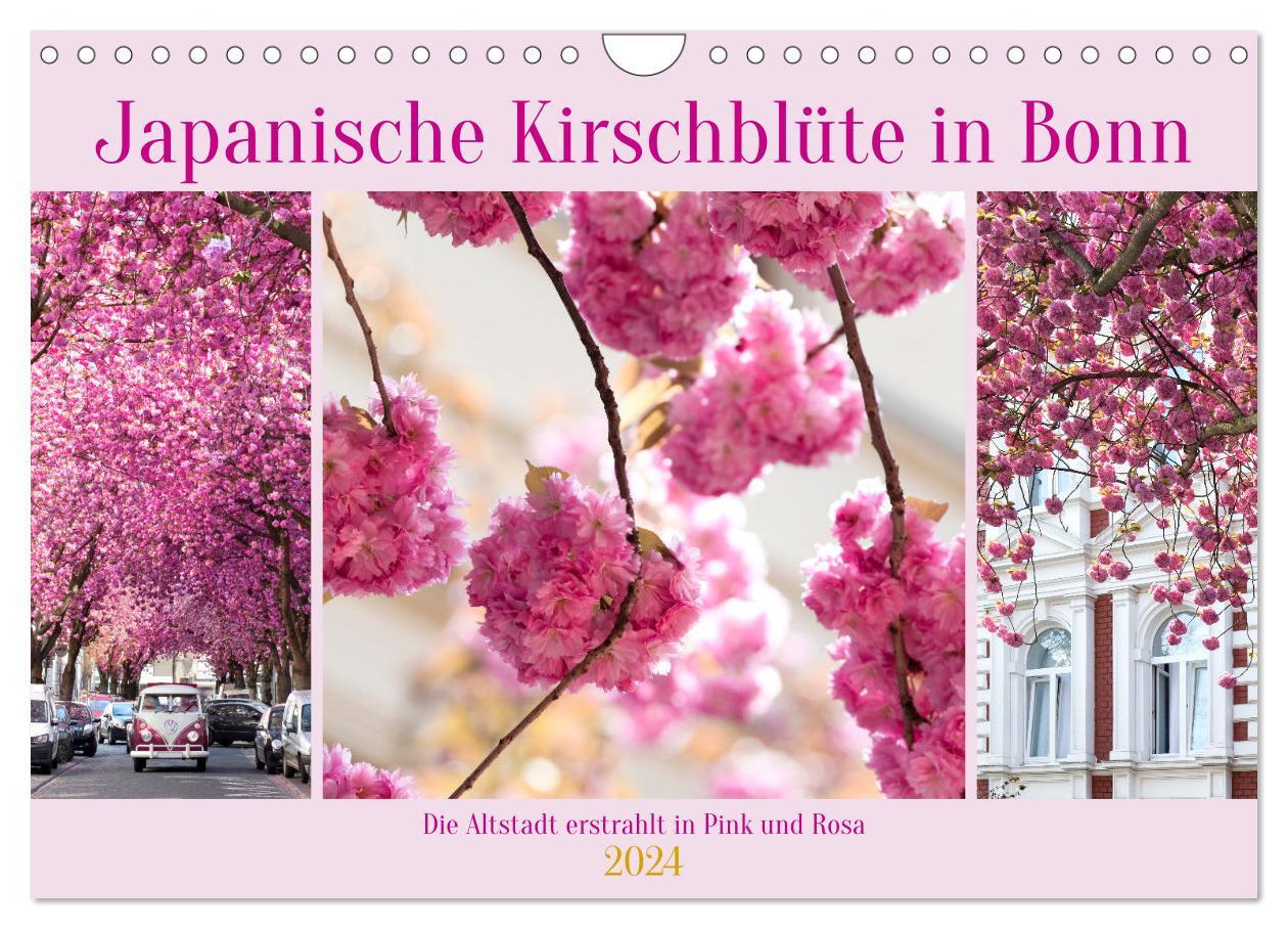 Cover: 9783675641341 | Japanische Kirschblüte in Bonn (Wandkalender 2024 DIN A4 quer),...