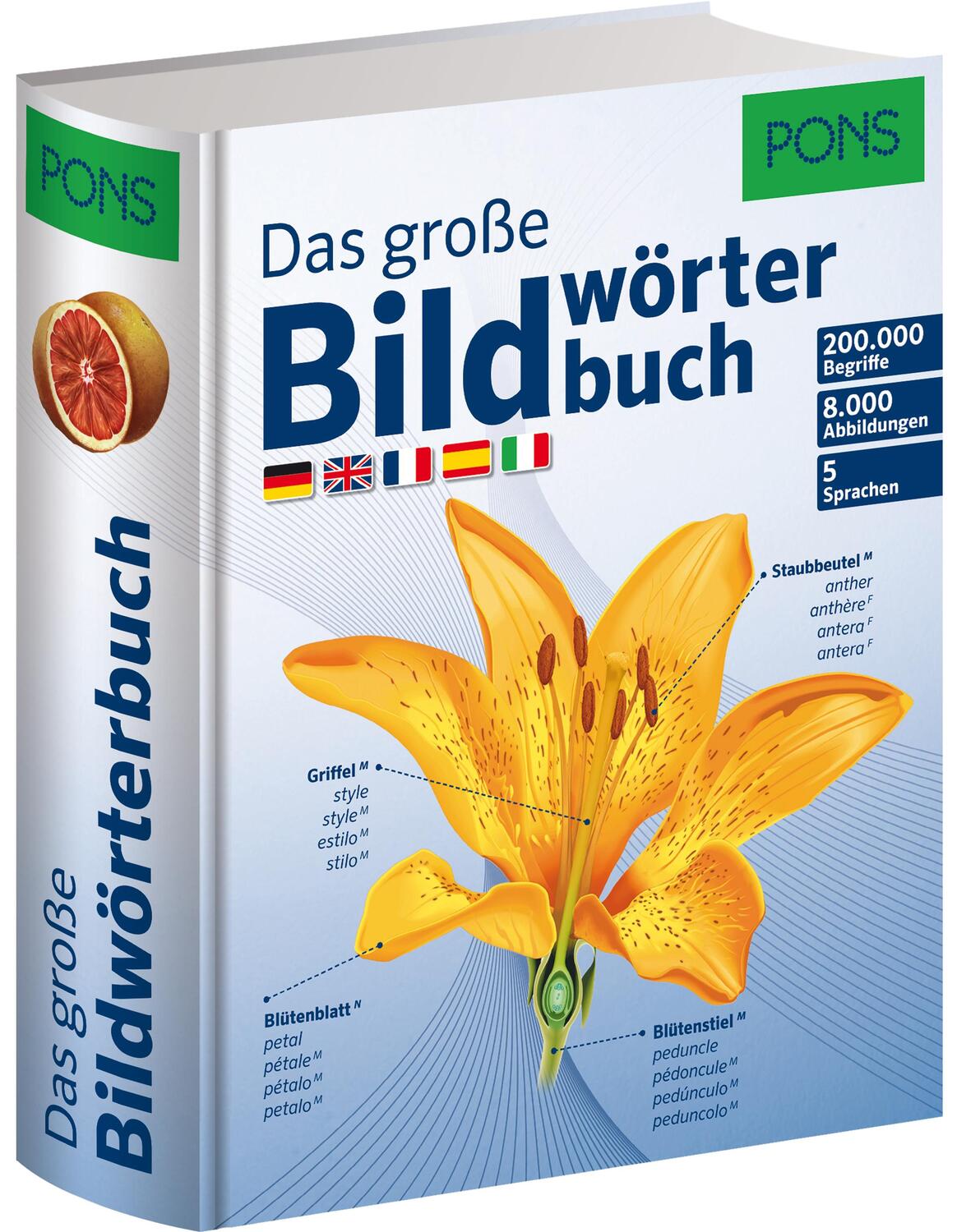 Cover: 9783125178946 | PONS Das große Bildwörterbuch | Buch | PONS Bildwörterbuch | 1272 S.