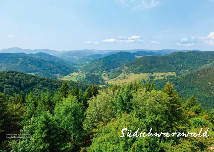 Bild: 9783862466849 | Panoramawege für Senioren Süd-Schwarzwald | Lars Freudenthal (u. a.)
