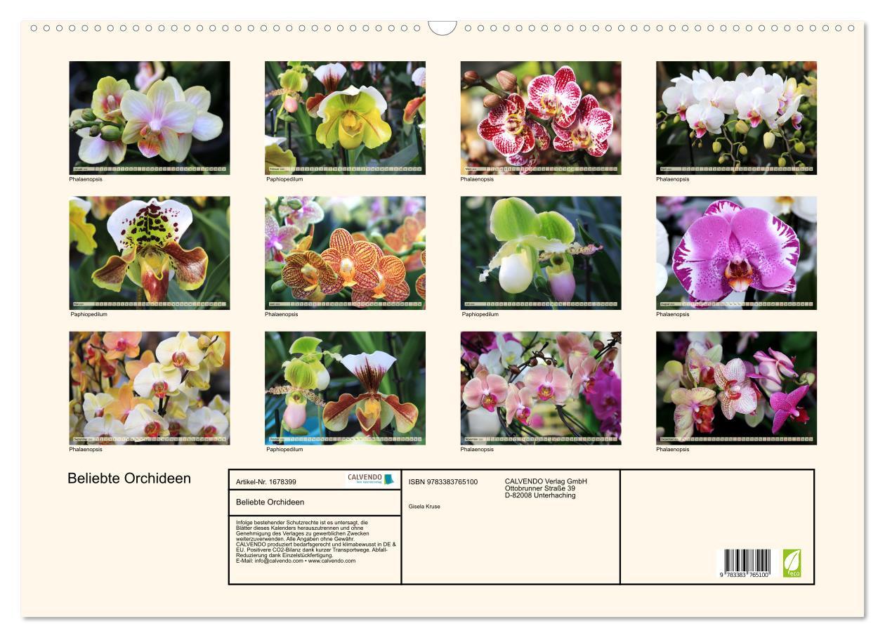 Bild: 9783383765100 | Beliebte Orchideen (Wandkalender 2025 DIN A2 quer), CALVENDO...