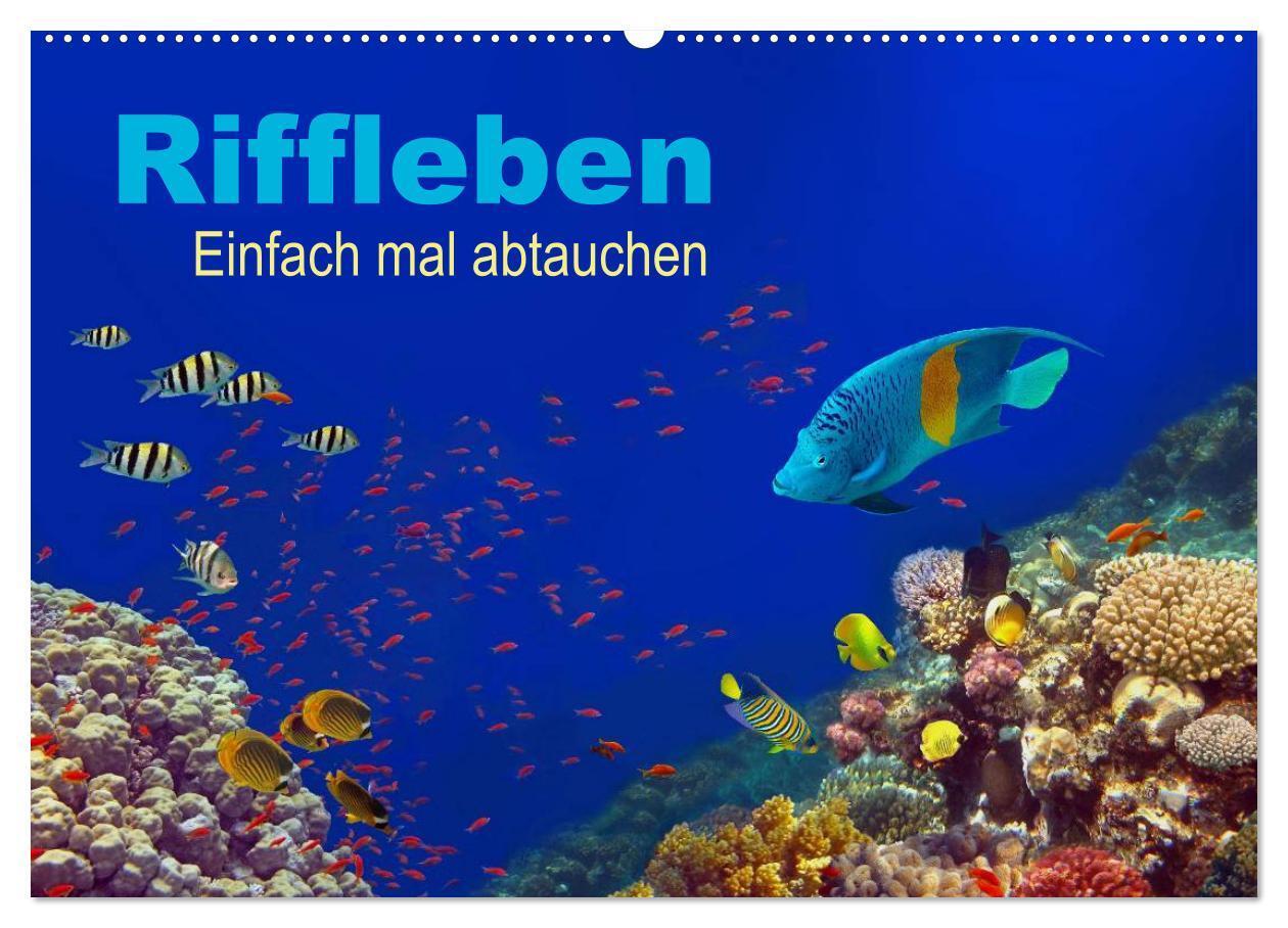Cover: 9783675473928 | Riffleben - Einfach mal abtauchen (Wandkalender 2024 DIN A2 quer),...