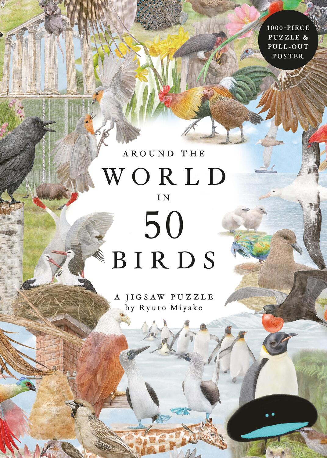 Cover: 9781399620024 | Around the World in 50 Birds 1000 Piece Puzzle | 1000 Piece Jigsaw