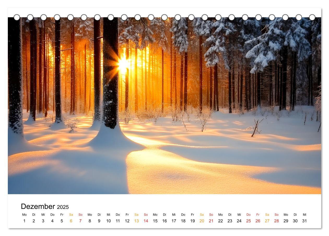 Bild: 9783457224809 | Mystik der Wälder (Tischkalender 2025 DIN A5 quer), CALVENDO...