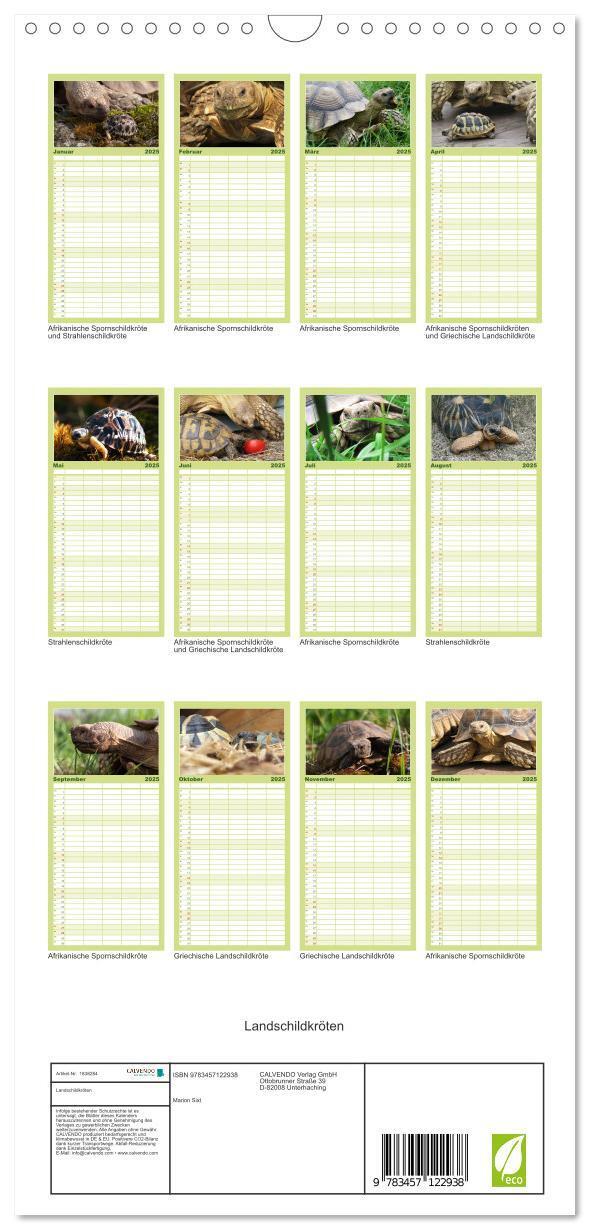 Bild: 9783457122938 | Familienplaner 2025 - Landschildkröten mit 5 Spalten (Wandkalender,...