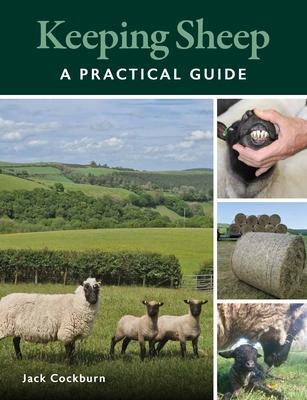 Cover: 9780719842214 | Keeping Sheep | Jack Cockburn | Taschenbuch | Kartoniert / Broschiert