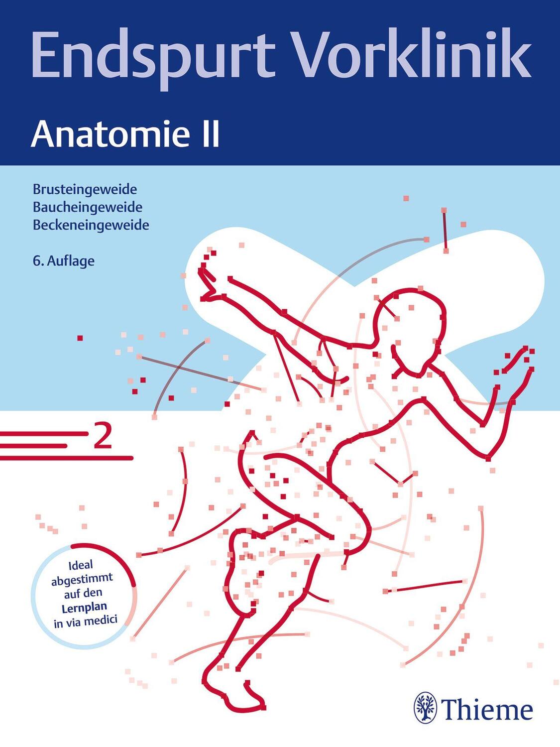 Cover: 9783132445291 | Endspurt Vorklinik: Anatomie II | Taschenbuch | Endspurt Vorklinik