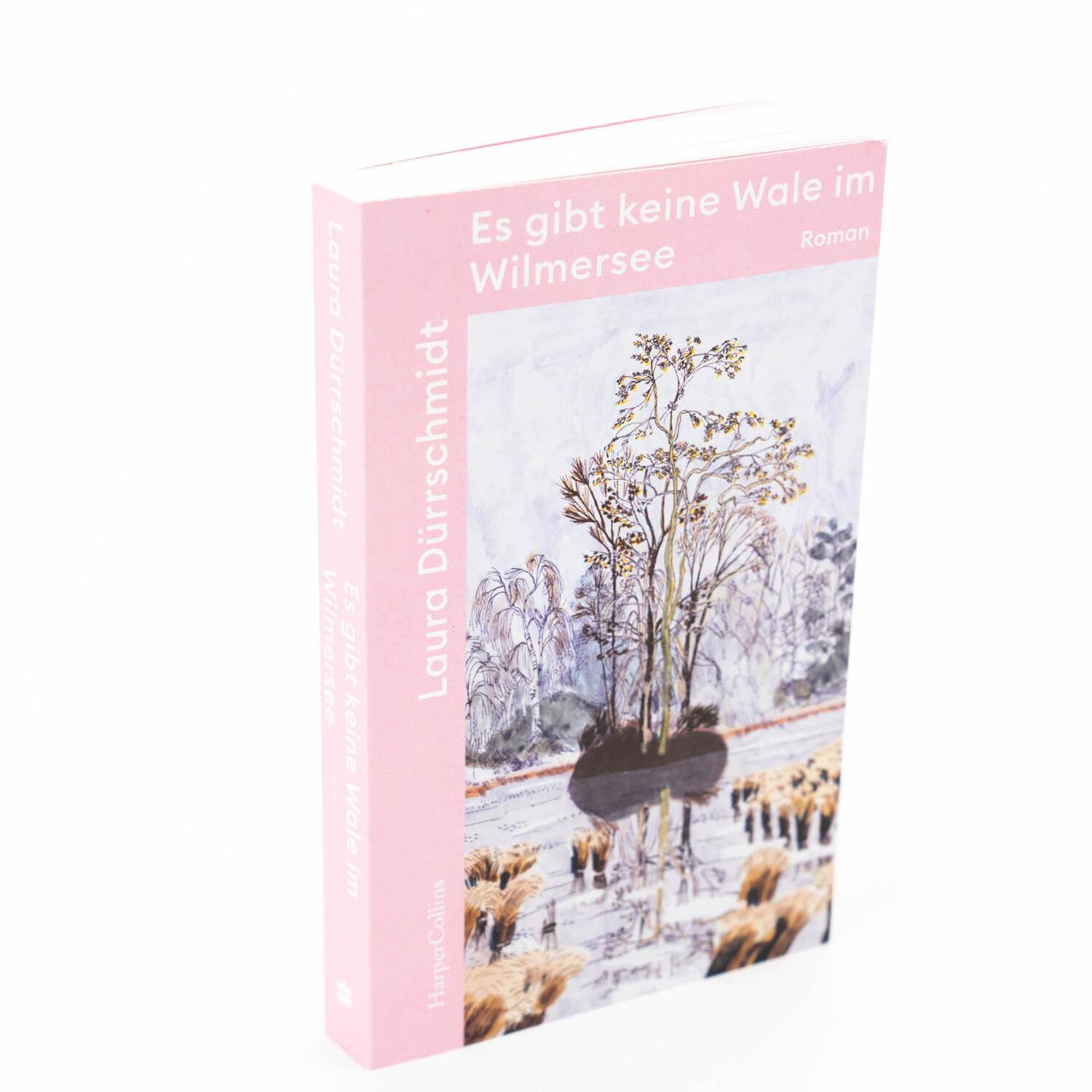 Bild: 9783365002858 | Es gibt keine Wale im Wilmersee | Roman | Laura Dürrschmidt | Buch