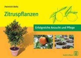 Cover: 9783494017181 | Zitruspflanzen | Erfolgreiche Anzucht und Pflege | Heinrich Beltz