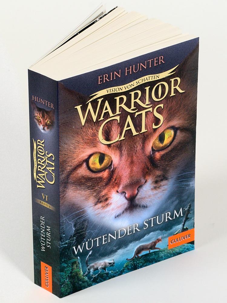 Bild: 9783407812667 | Warrior Cats - Vision von Schatten. Wütender Sturm | Erin Hunter
