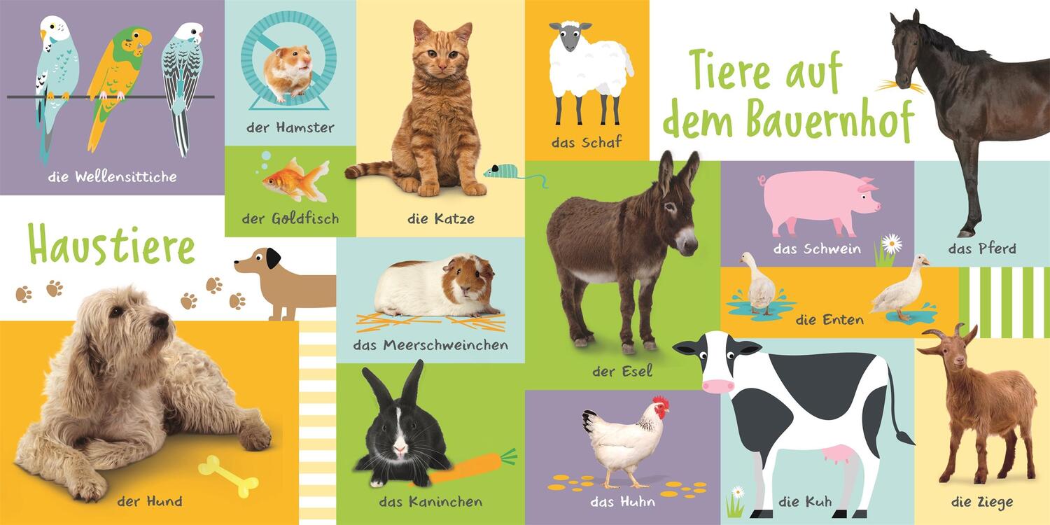 Bild: 9783831046805 | 100 erste Tiere | DK Verlag - Kids | Buch | 16 S. | Deutsch | 2023