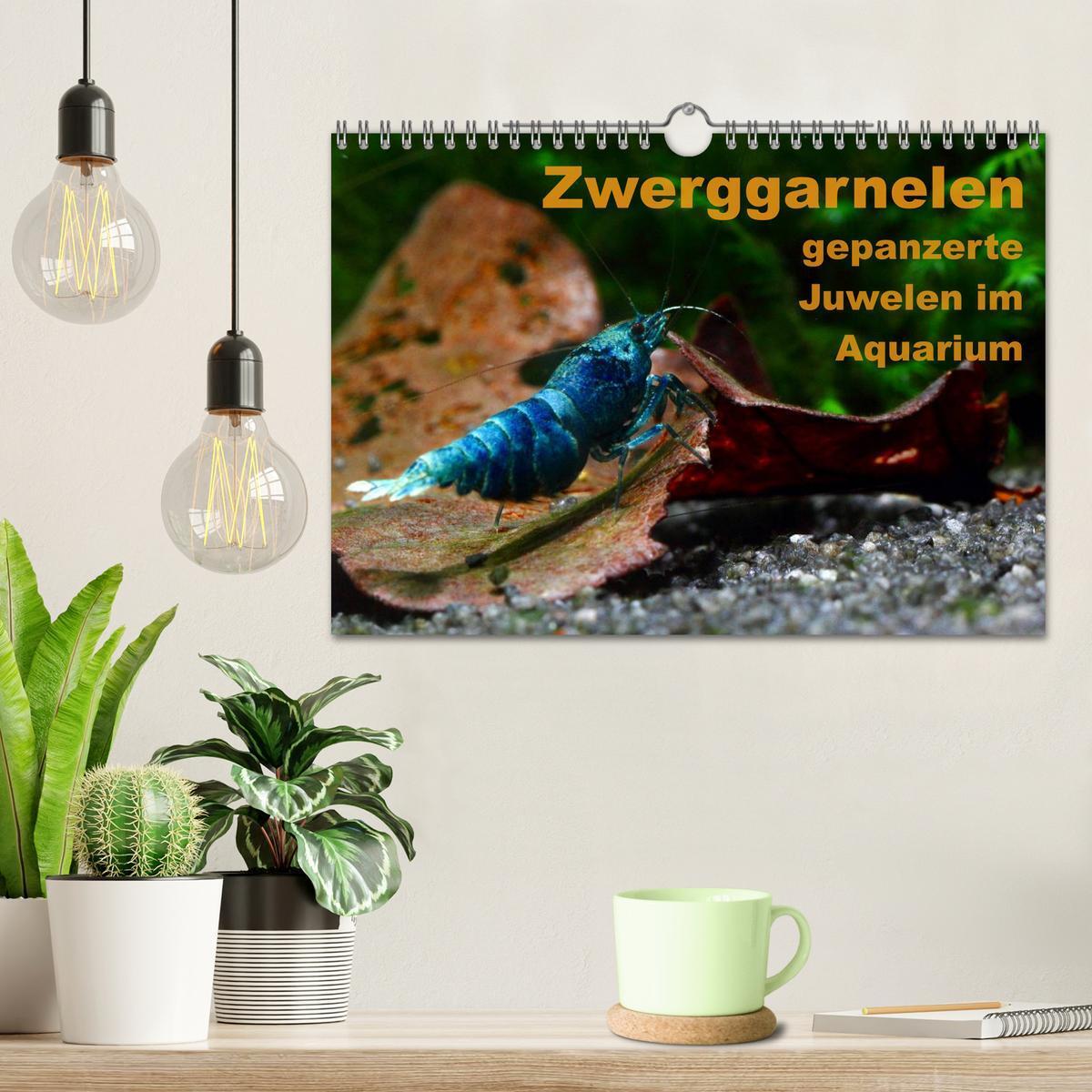 Bild: 9783435562060 | Zwerggarnelen - gepanzerte Juwelen im Aquarium (Wandkalender 2025...