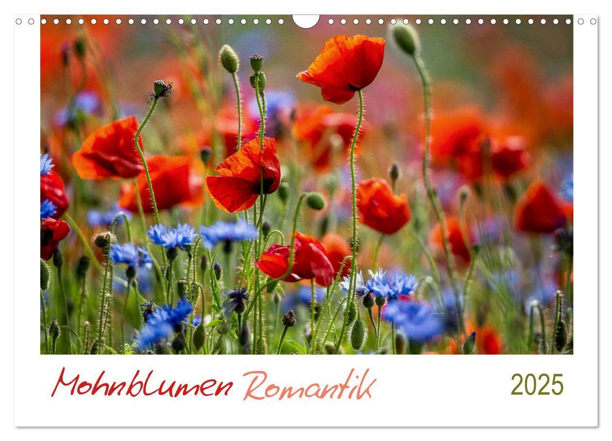 Cover: 9783435122516 | Mohnblumen Romantik (Wandkalender 2025 DIN A3 quer), CALVENDO...