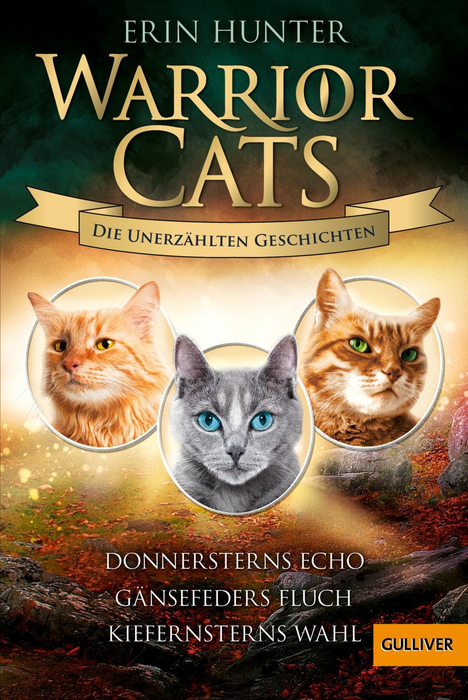 Cover: 9783407813022 | Warrior Cats - Die unerzählten Geschichten | Erin Hunter | Taschenbuch