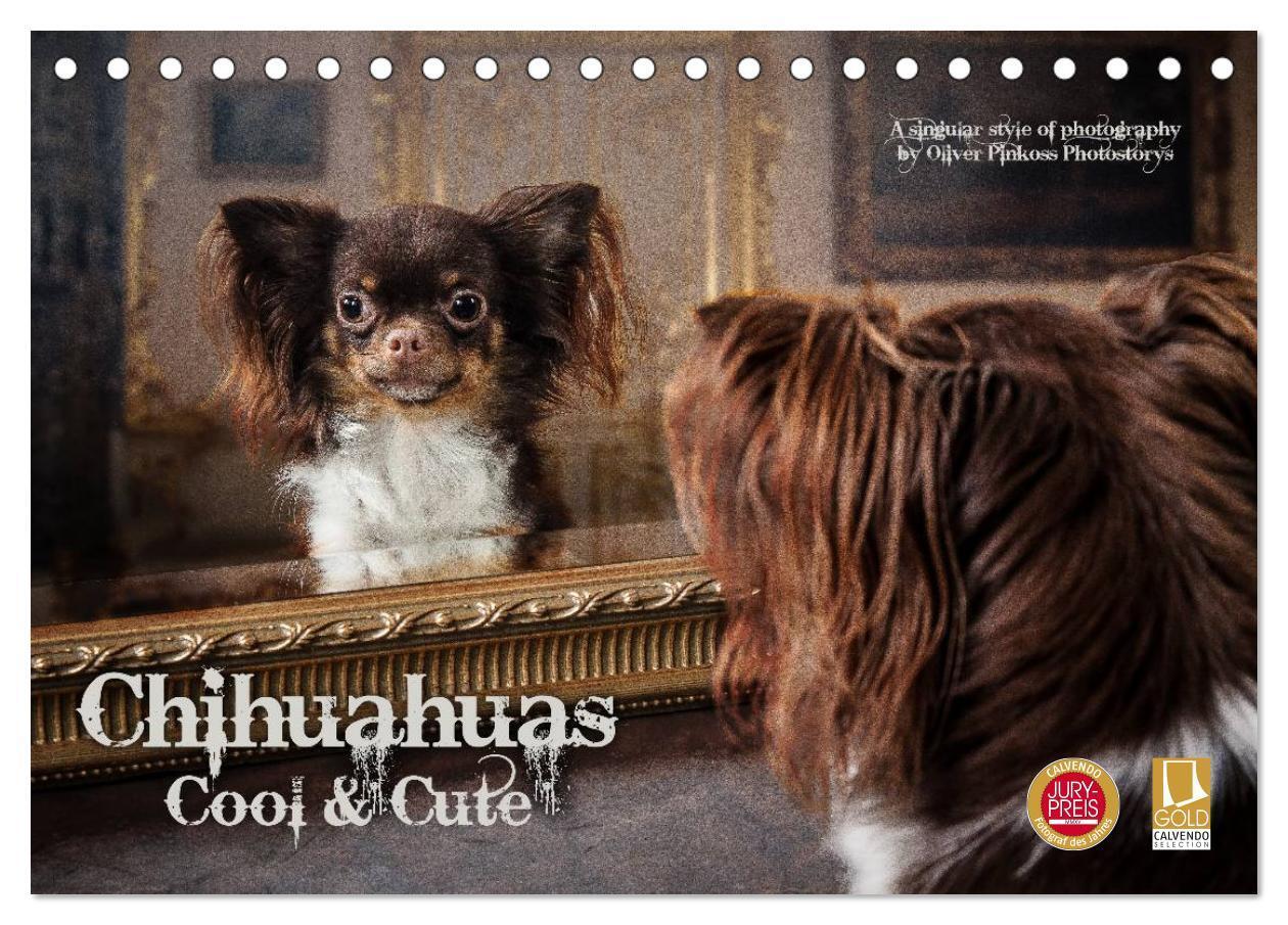 Cover: 9783383547867 | Chihuahuas - Cool and Cute (Tischkalender 2024 DIN A5 quer),...