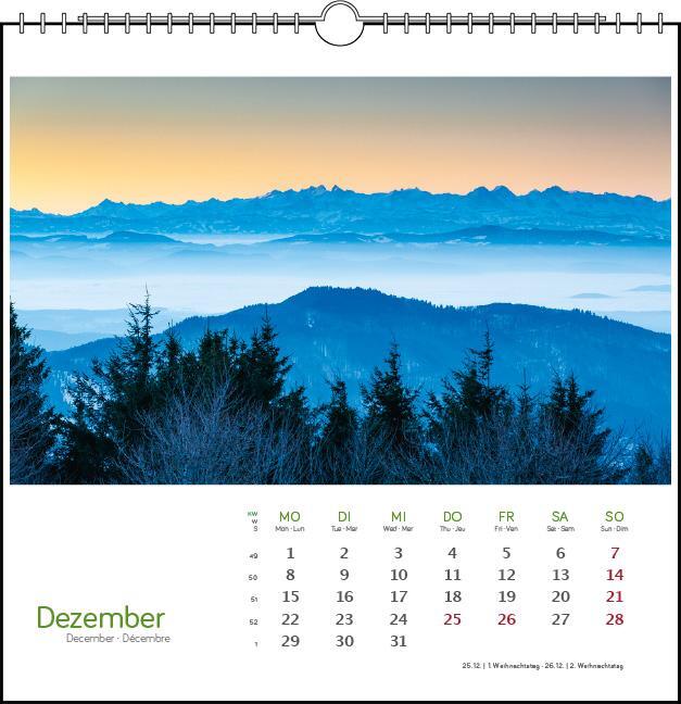 Bild: 9783861924135 | Schwarzwald 2025 | Postkarten-Tischkalender | Kalender | Spiralbindung