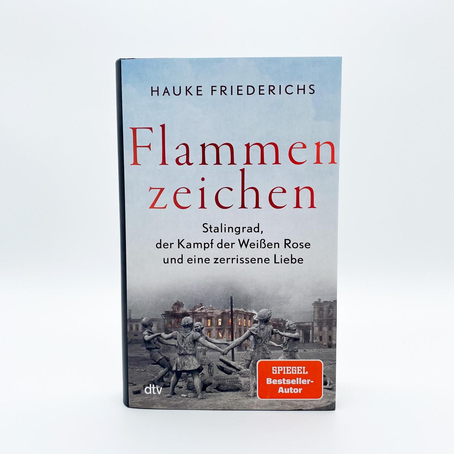 Bild: 9783423290388 | Flammenzeichen | Hauke Friederichs | Buch | 336 S. | Deutsch | 2022