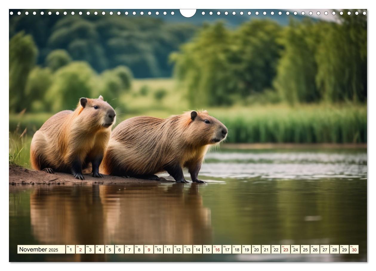 Bild: 9783457143780 | Capybaras - Wasserschweine die Herren der Gräser (Wandkalender 2025...