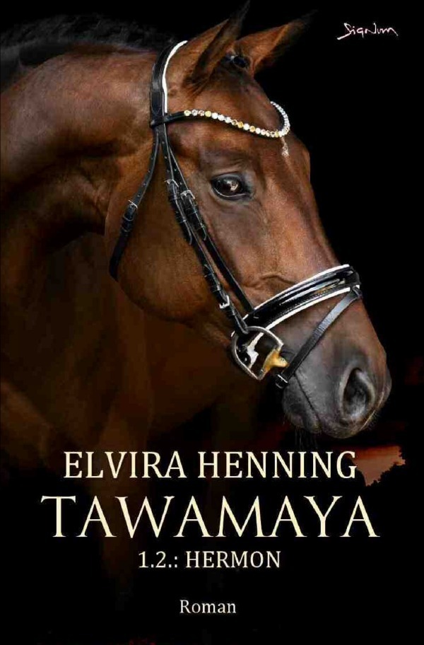 Cover: 9783757523794 | Tawamaya - 1.2.: Hermon | Ein historischer Roman. DE | Elvira Henning