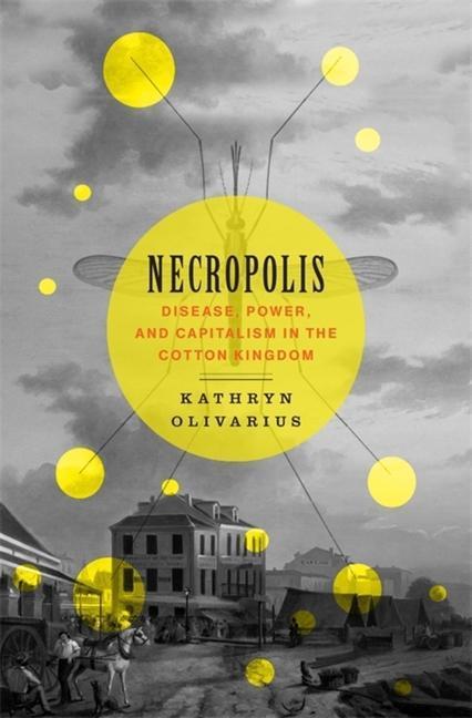 Cover: 9780674241053 | Necropolis | Disease, Power, and Capitalism in the Cotton Kingdom
