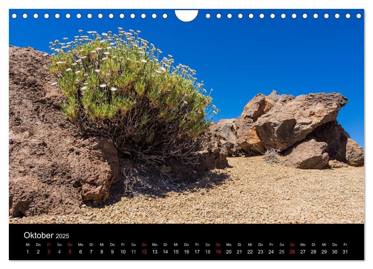 Bild: 9783435778447 | Teneriffa (Wandkalender 2025 DIN A4 quer), CALVENDO Monatskalender