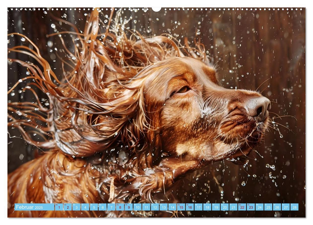 Bild: 9783457129241 | Hunde und Wasser (Wandkalender 2025 DIN A2 quer), CALVENDO...