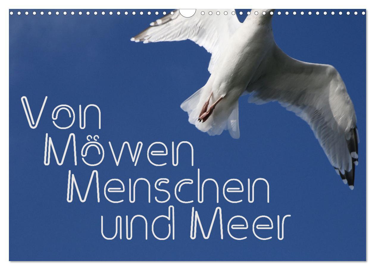 Cover: 9783383955631 | Von Möwen, Menschen und Meer (Wandkalender 2025 DIN A3 quer),...