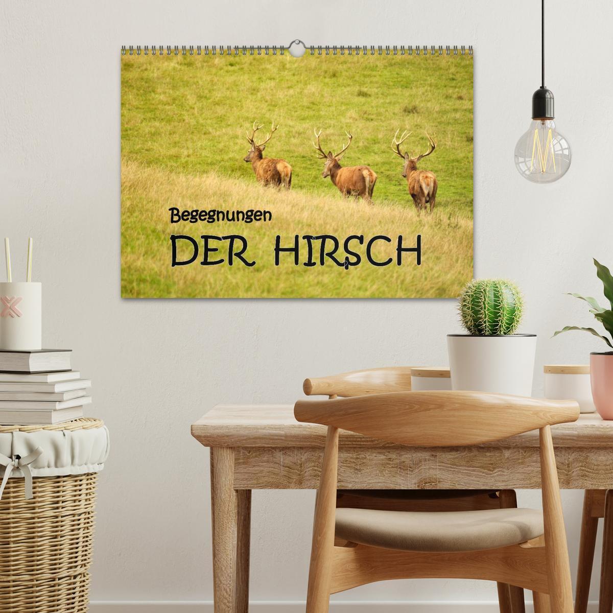 Bild: 9783435634569 | Begegnungen. DER HIRSCH (Wandkalender 2025 DIN A3 quer), CALVENDO...