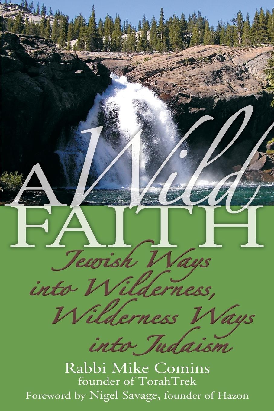 Cover: 9781580233163 | A Wild Faith | Rabbi Mike Comins | Taschenbuch | Englisch | 2007