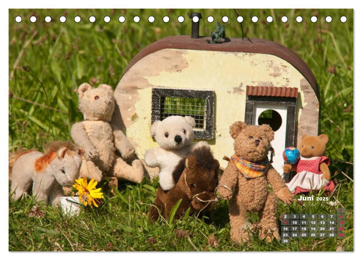 Bild: 9783435575251 | Geliebte Bären - Teddys (Tischkalender 2025 DIN A5 quer), CALVENDO...