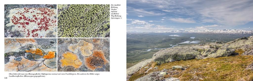 Bild: 9789198331004 | Lappland - Eine Reise in die letzte Wildnis Europas | Idelmann | Buch