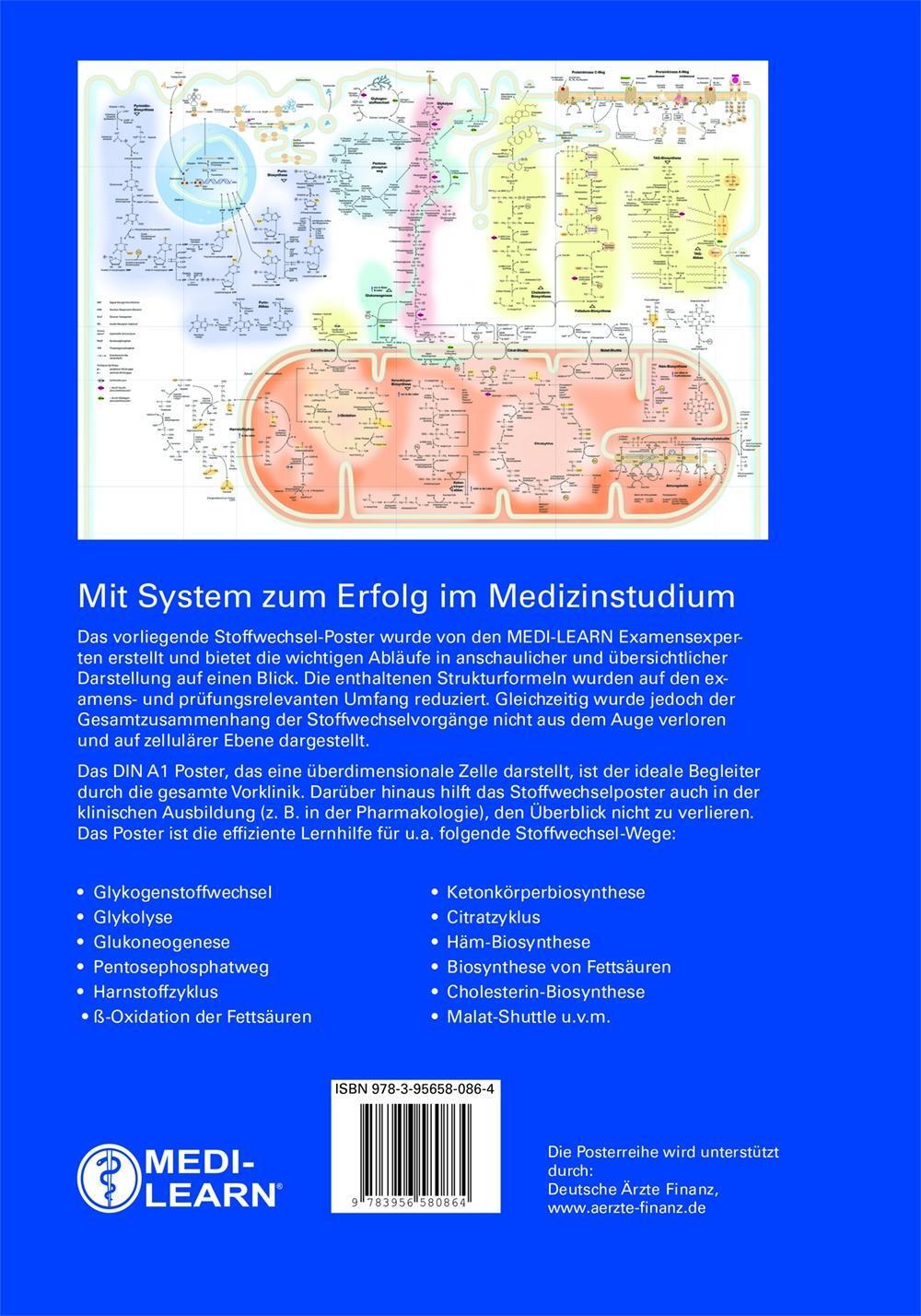 Bild: 9783956580864 | Biochemie | MEDI-LEARN Poster | Bettina Bartel (u. a.) | Poster | 2018