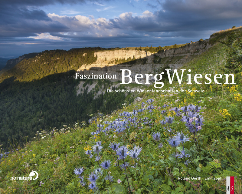 Cover: 9783906055428 | Faszination Bergwiesen | Die schönsten Wiesenlandschaften der Schweiz
