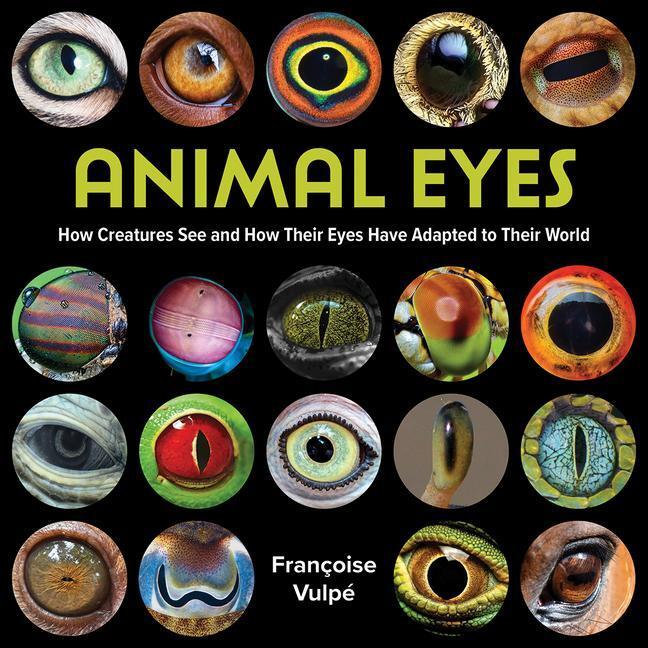 Cover: 9780228104131 | Animal Eyes | Françoise Vulpé | Taschenbuch | Englisch | 2023