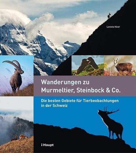 Cover: 9783258078823 | Wanderungen zu Murmeltier, Steinbock & Co. | Lorenz Heer | Buch | 2015