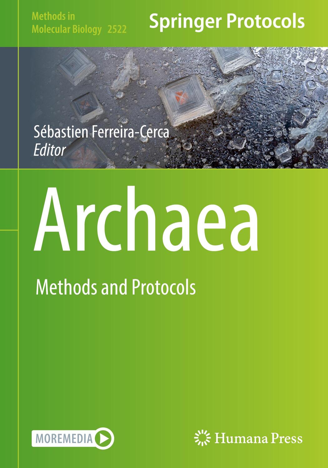 Cover: 9781071624449 | Archaea | Methods and Protocols | Sébastien Ferreira-Cerca | Buch