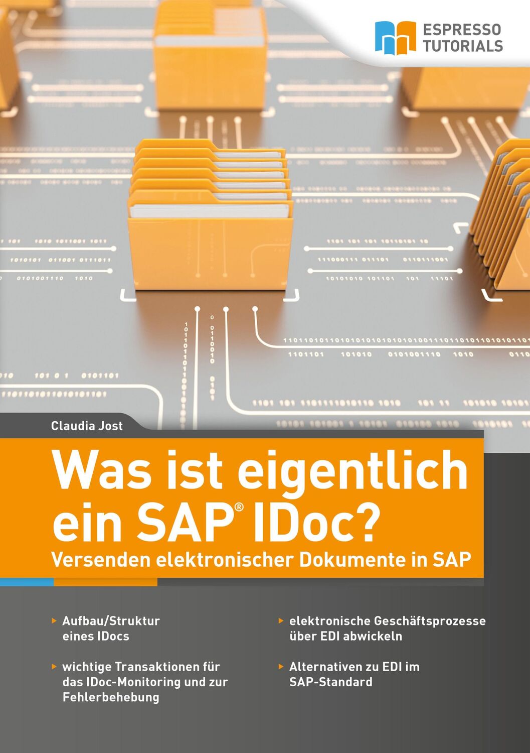 Cover: 9783960129950 | Was ist eigentlich ein SAP IDoc? Versenden elektronischer Dokumente...