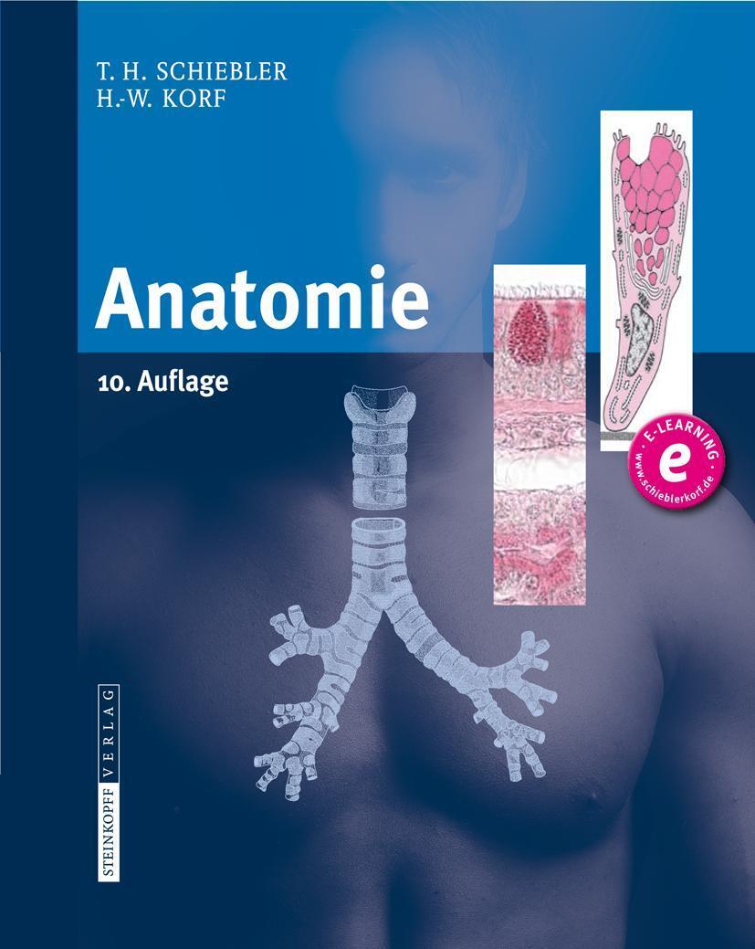 Cover: 9783798517707 | Anatomie | Theodor Heinrich Schiebler (u. a.) | Buch | xvii | Deutsch