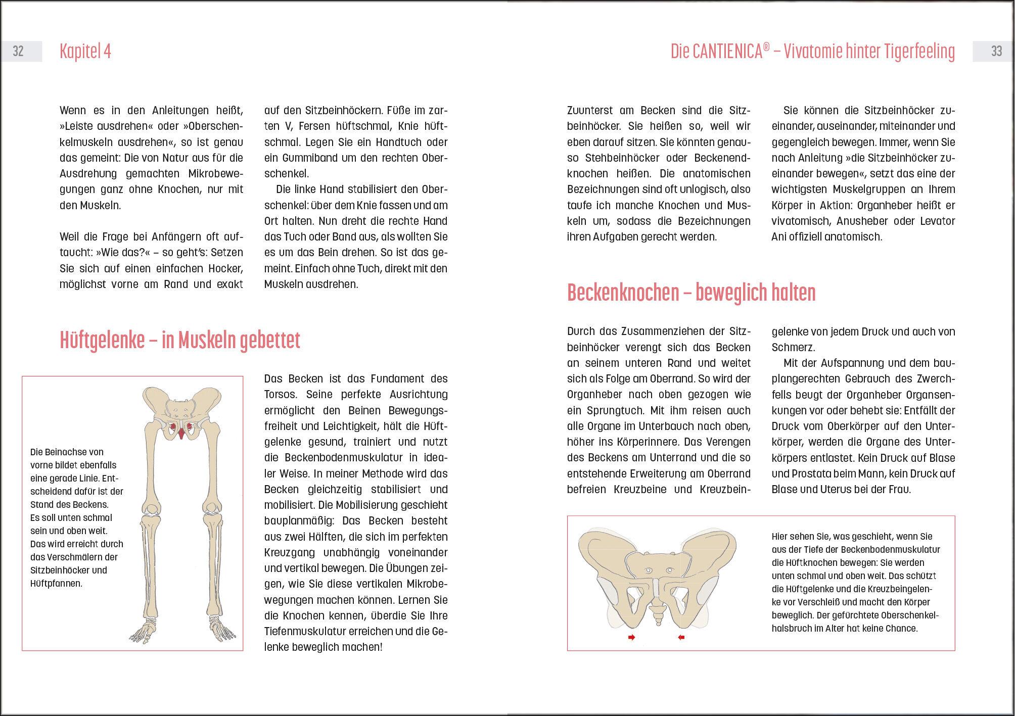 Bild: 9783517103273 | Powertraining mit Tigerfeeling | Benita Cantieni | Buch | 160 S.