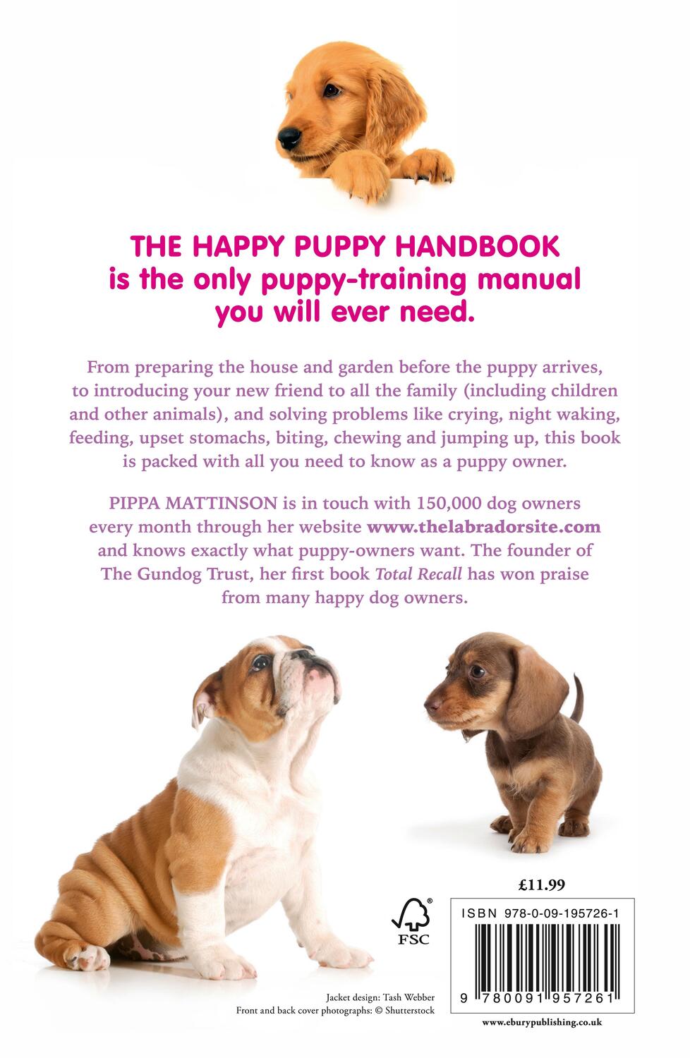 Rückseite: 9780091957261 | The Happy Puppy Handbook | Pippa Mattinson | Taschenbuch | Englisch