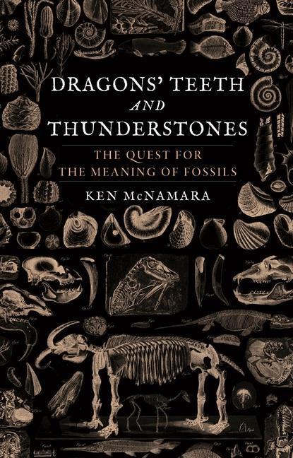 Cover: 9781789142907 | Dragons' Teeth and Thunderstones | Kenneth J. McNamara | Buch | 2020