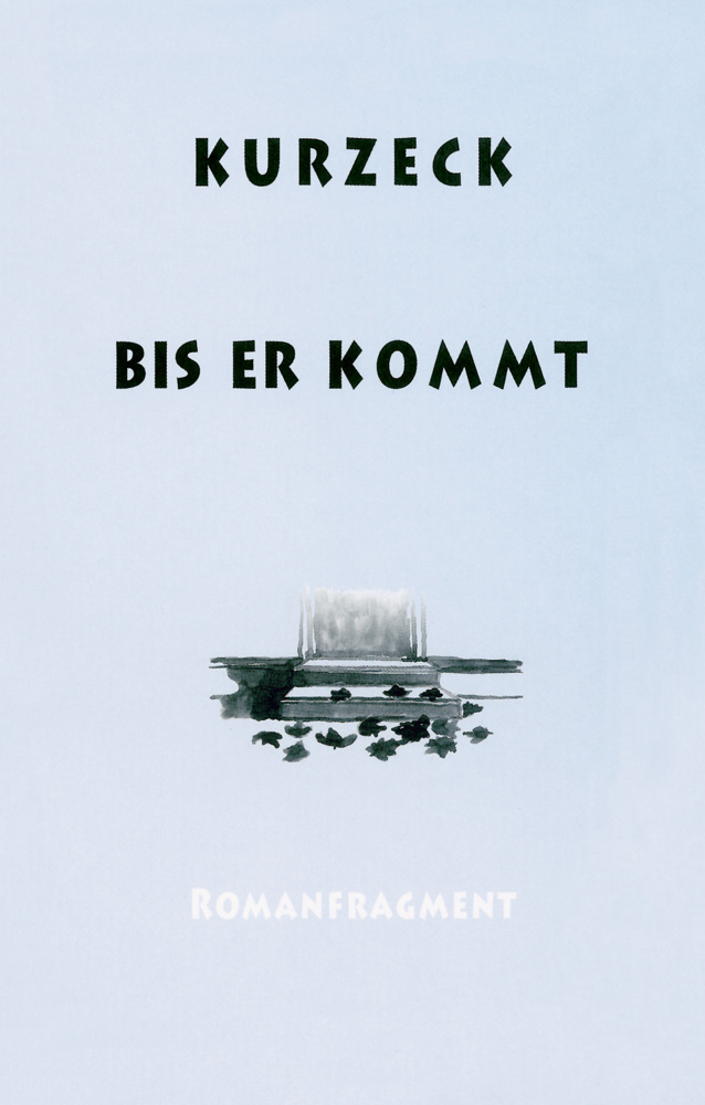 Cover: 9783895616884 | Bis er kommt | Romanfragment | Peter Kurzeck | Buch | 384 S. | Deutsch