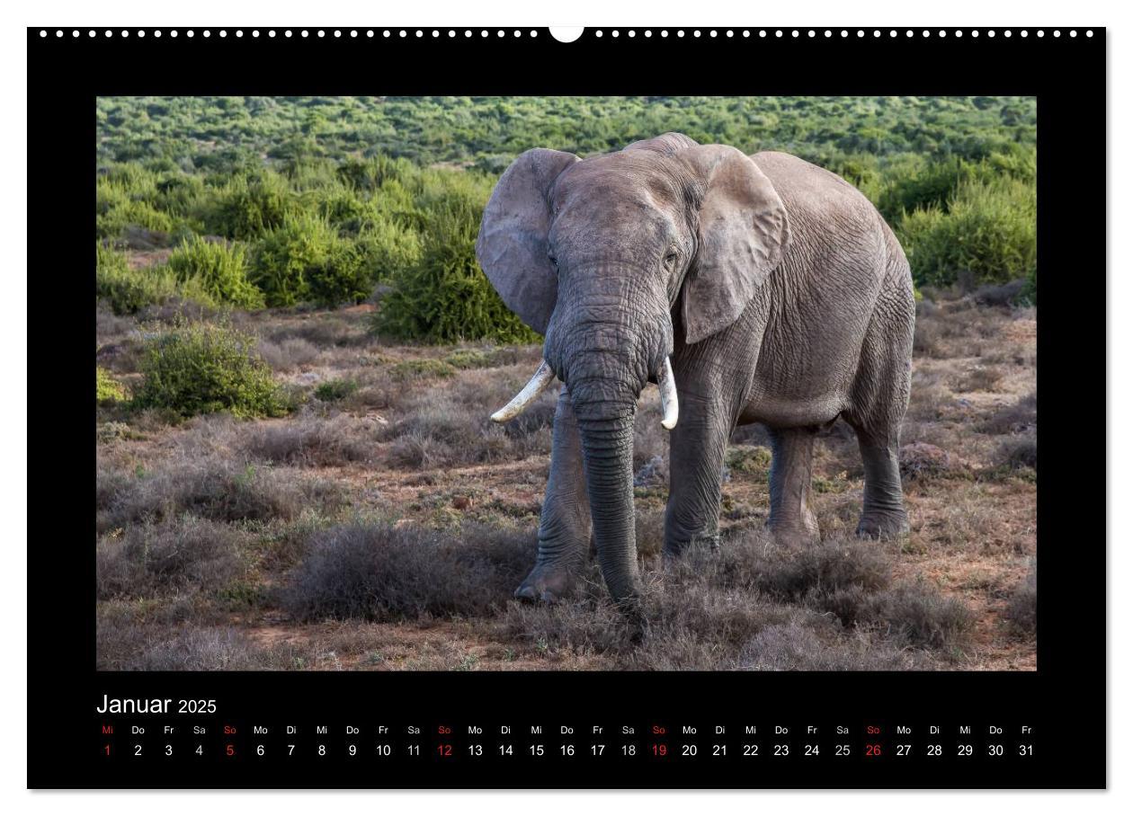 Bild: 9783435702428 | Südafrika - Garden Route (hochwertiger Premium Wandkalender 2025...