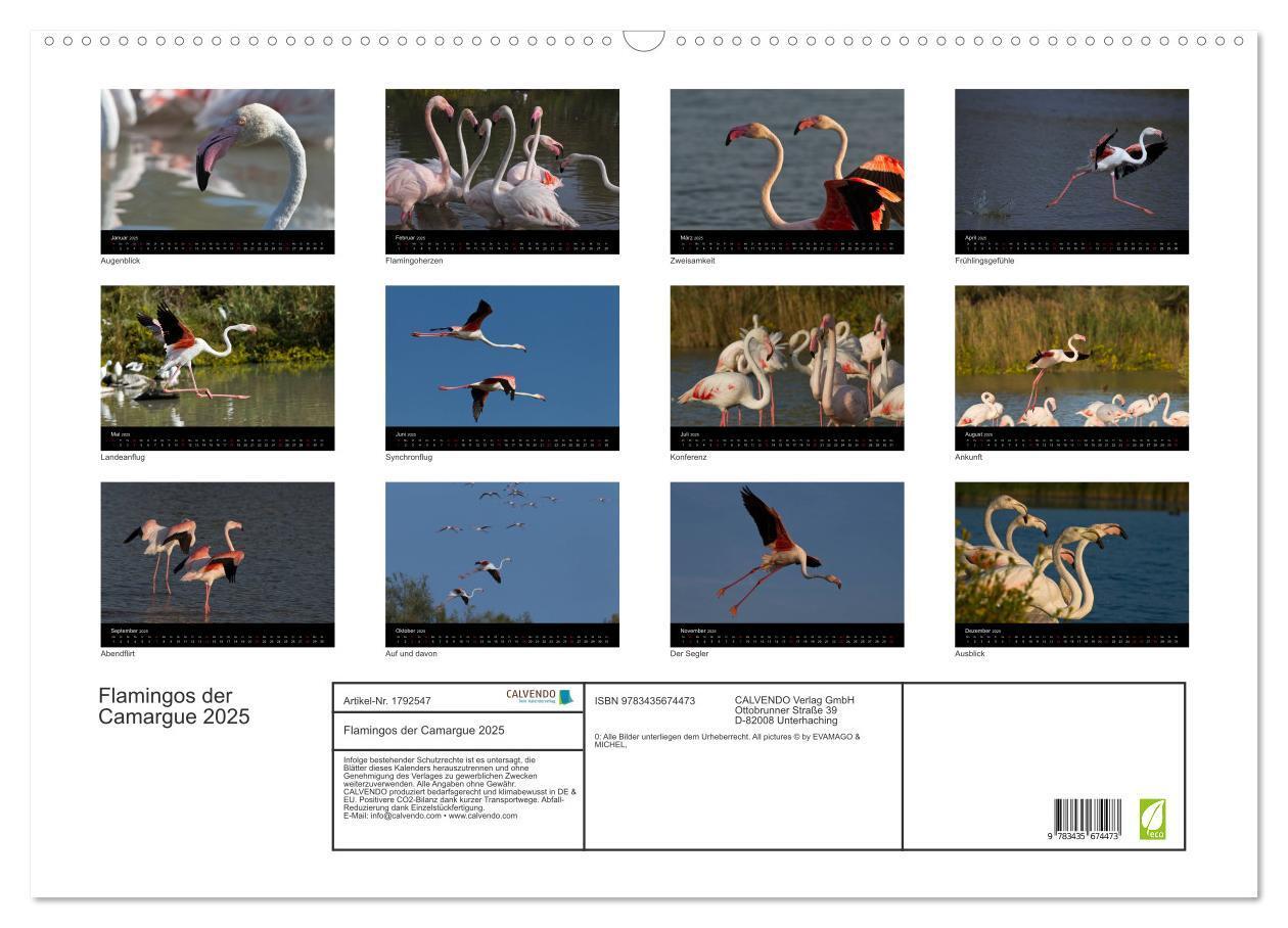 Bild: 9783435674473 | Flamingos der Camargue 2025 (Wandkalender 2025 DIN A2 quer),...